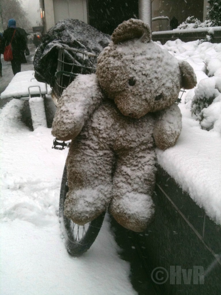 TEDDY BEAR SNOW